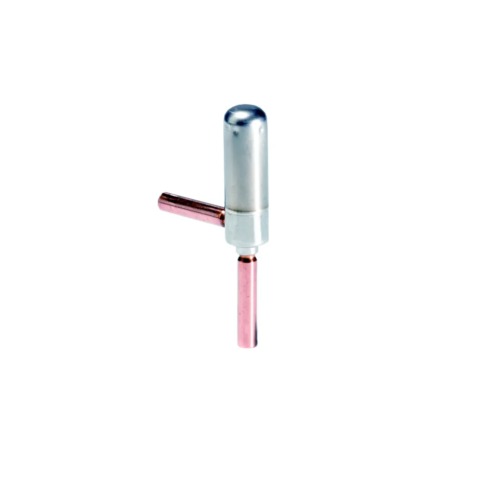 שסתום ETS 6 - 10 ElecExpValve 516x516 דנפוס
