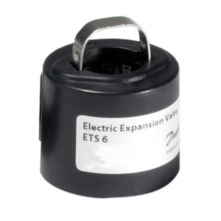 ETS 6 Coil for ElecExpValve